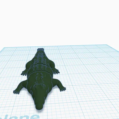 Mô hình cá sấu khớp nối 3D (Articulated Croc) linh hoạt