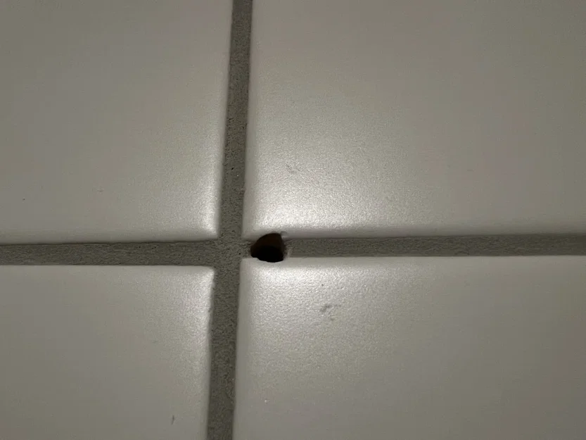 Nút bịt lỗ khoan 6mm (Drill Hole Plug 6mm) - Image 2