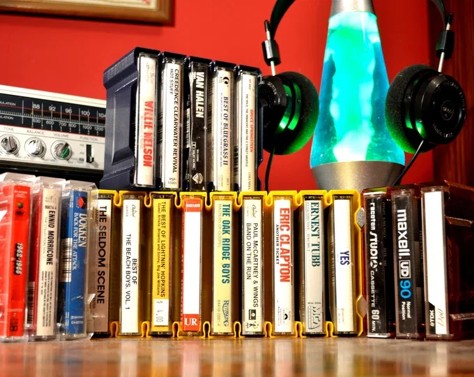 Khay sắp xếp băng cassette in Vase Mode - Image 1