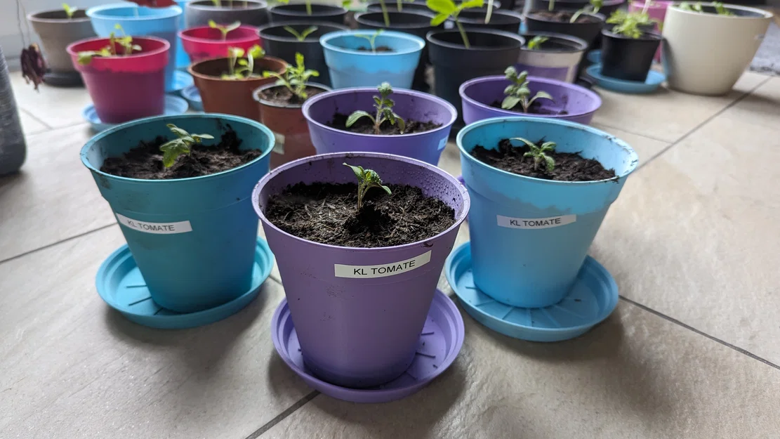 Chậu ươm cây / Chậu trồng cây (Grow Pot / Plant Pot) - Image 1