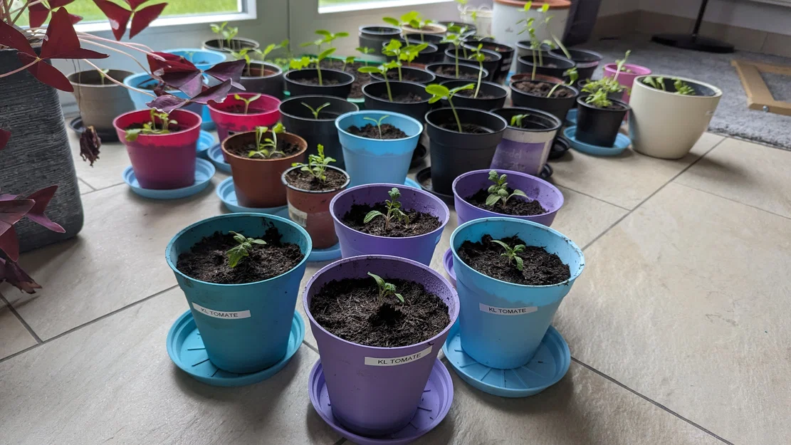 Chậu ươm cây / Chậu trồng cây (Grow Pot / Plant Pot) - Image 11