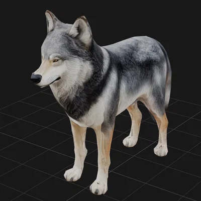 Mô hình chú sói 3D (Wolf) - Decor trang trí độc đáo, tinh tế