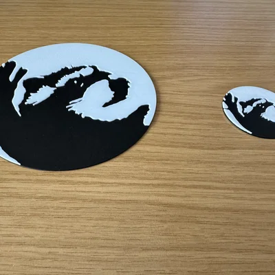 Pedro Racoon 2D Plate