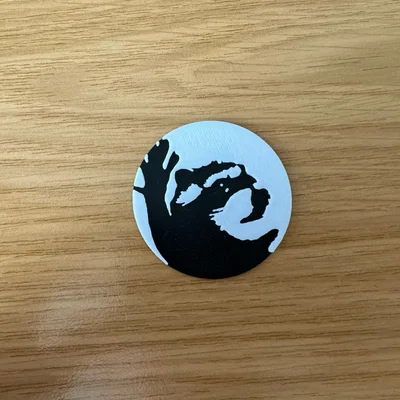 Pedro Racoon 2D Plate