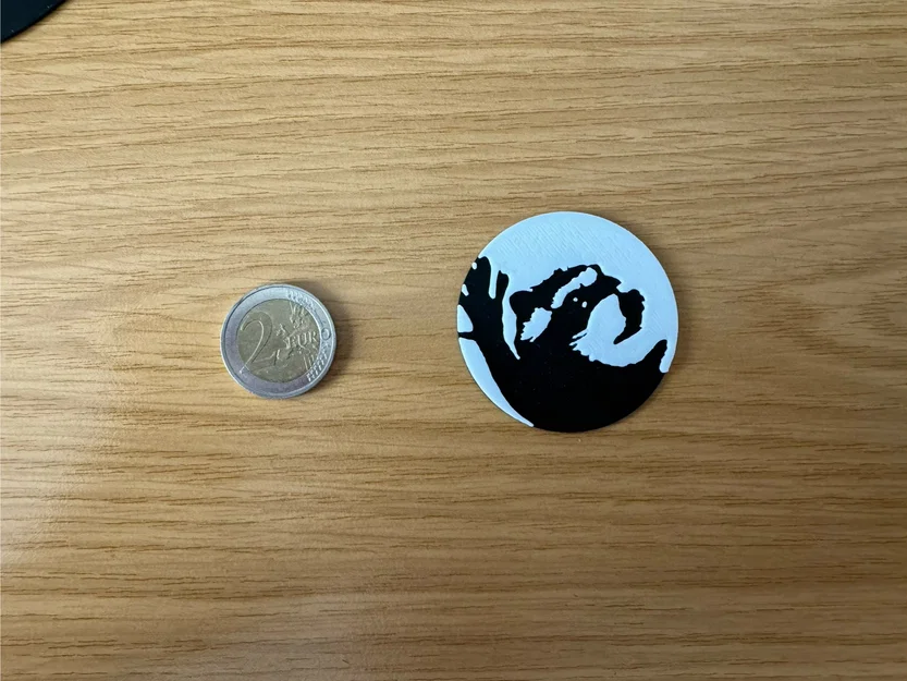 Pedro Racoon 2D Plate - Image 4