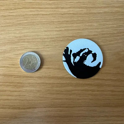 Pedro Racoon 2D Plate