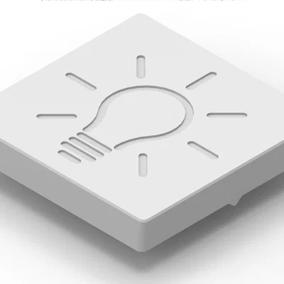 GIRA System 55 Standard Rocker Light-Icon