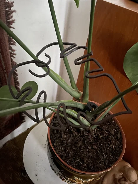 Khung hỗ trợ cây Monstera (trầu bà lá xẻ) thiết kế hình lá độc đáo - Image 1
