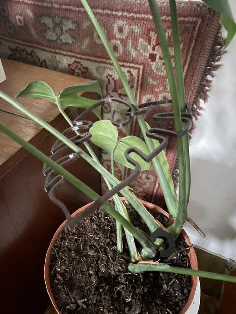 Khung hỗ trợ cây Monstera (trầu bà lá xẻ) thiết kế hình lá độc đáo - Image 2