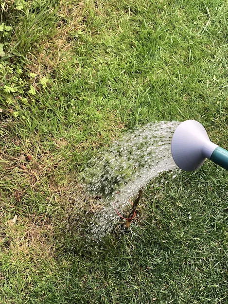 Đầu phun Watering Can Rose Sprinkler head thay thế - Image 10