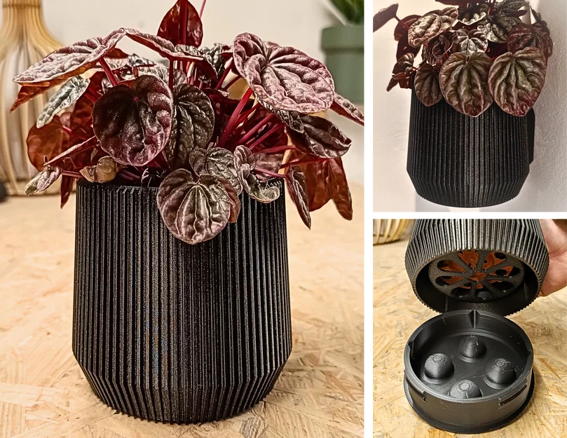 Wall Planter 1.13 - Chậu trồng cây treo tường - Image 1