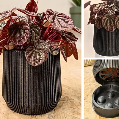 Wall Planter 1.13 - Chậu trồng cây treo tường