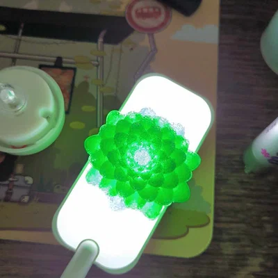 Mô hình 3D sen đá trang trí đa năng - Tự chế đèn decor độc đáo