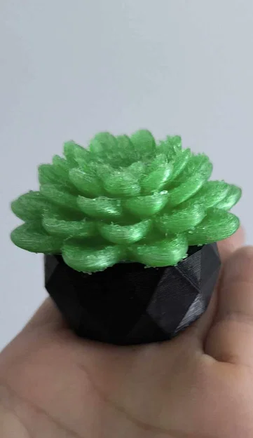 Mô hình 3D sen đá trang trí đa năng - Tự chế đèn decor độc đáo - Image 3