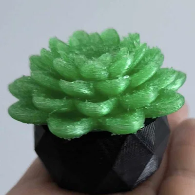 Mô hình 3D sen đá trang trí đa năng - Tự chế đèn decor độc đáo