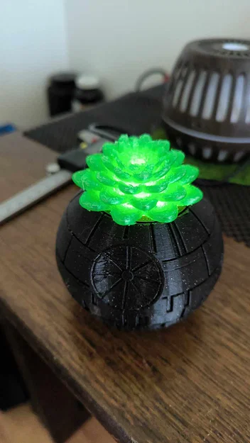 Mô hình 3D sen đá trang trí đa năng - Tự chế đèn decor độc đáo - Image 4