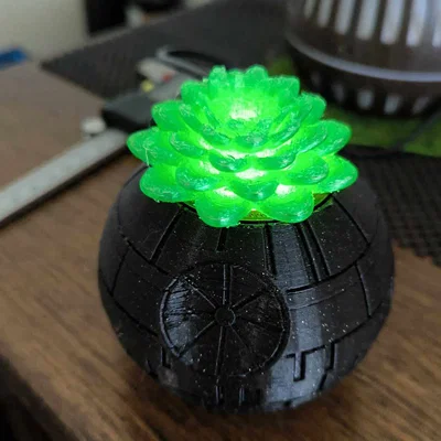 Mô hình 3D sen đá trang trí đa năng - Tự chế đèn decor độc đáo