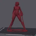 Nữ Chiến Binh Kiếm (Female Sword Warrior) - Thumbnail 5