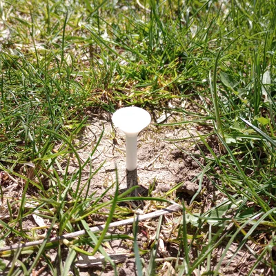 Martini Golf Tee - Đế đặt bóng golf 3D thông minh cho mọi golfer