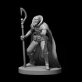 Bộ Sưu Tập NPC Khác (Misc Nonplayer Character Collection) - Thumbnail 6