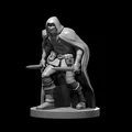 Bộ Sưu Tập NPC Khác (Misc Nonplayer Character Collection) - Thumbnail 11