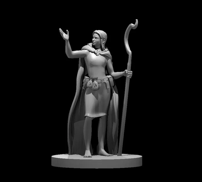 Bộ Sưu Tập NPC Khác (Misc Nonplayer Character Collection) - Image 24