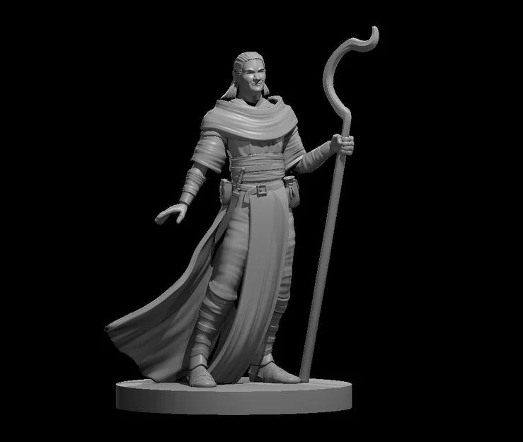 Bộ Sưu Tập NPC Khác (Misc Nonplayer Character Collection) - Image 25