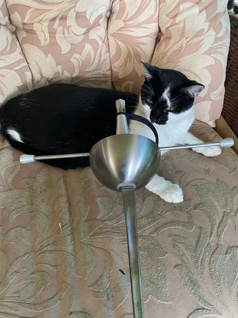 Rapier tập HEMA có cup, dùng lưỡi Epee Blade - Image 11