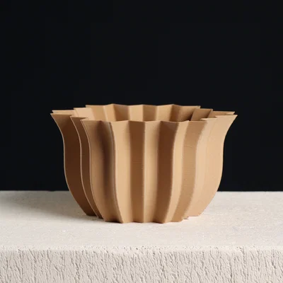 Chậu cây tô trừu tượng (Vase Mode & Shelled)