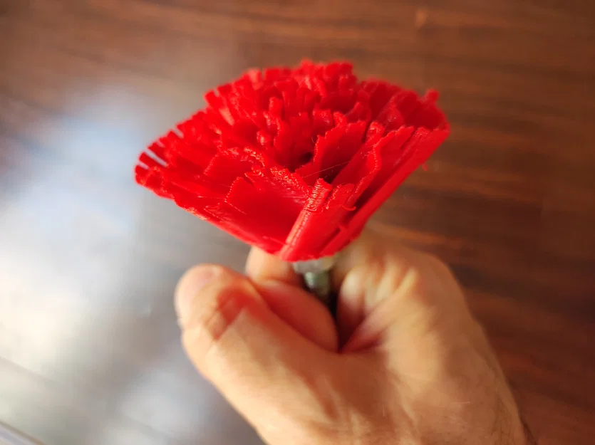 Hoa Cẩm Chướng: Kỷ niệm 50 năm Cách mạng Hoa Cẩm Chướng – Bồ Đào Nha (25/4/1974) - Image 1