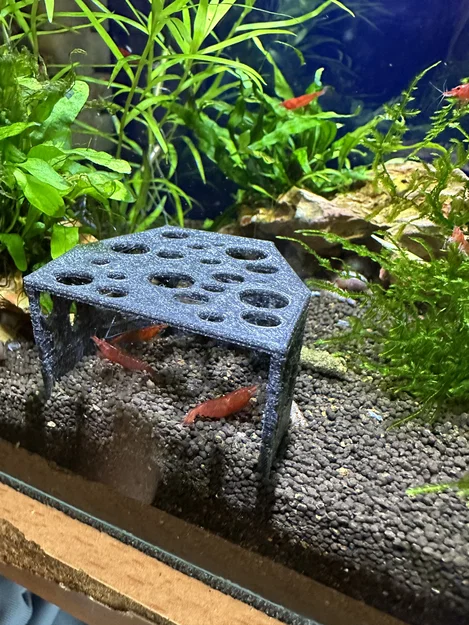 Hang trú ẩn cho tép và cá nhỏ in 3D không cần support - Image 1