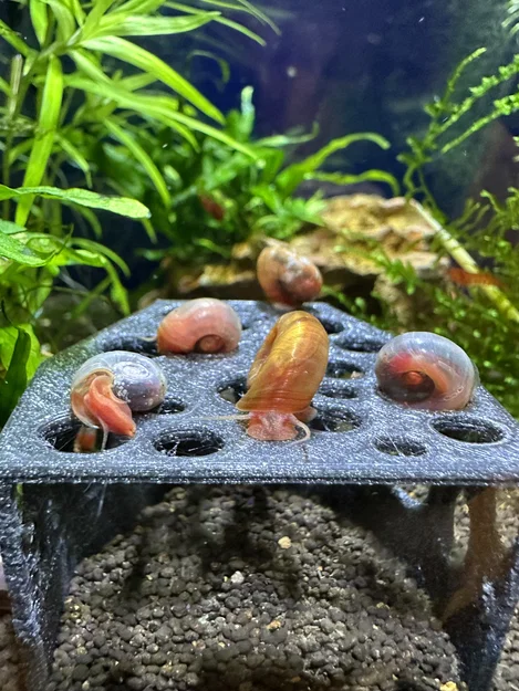 Hang trú ẩn cho tép và cá nhỏ in 3D không cần support - Image 2