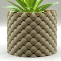 Chậu Cây Bubbles – Planter Vase Mode - Thumbnail 1