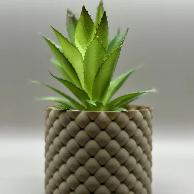 Chậu Cây Bubbles – Planter Vase Mode