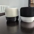 Chậu Trồng Cây Sang Xịn: Nâng Tầm Góc Xanh Của Bạn! - Thumbnail 6