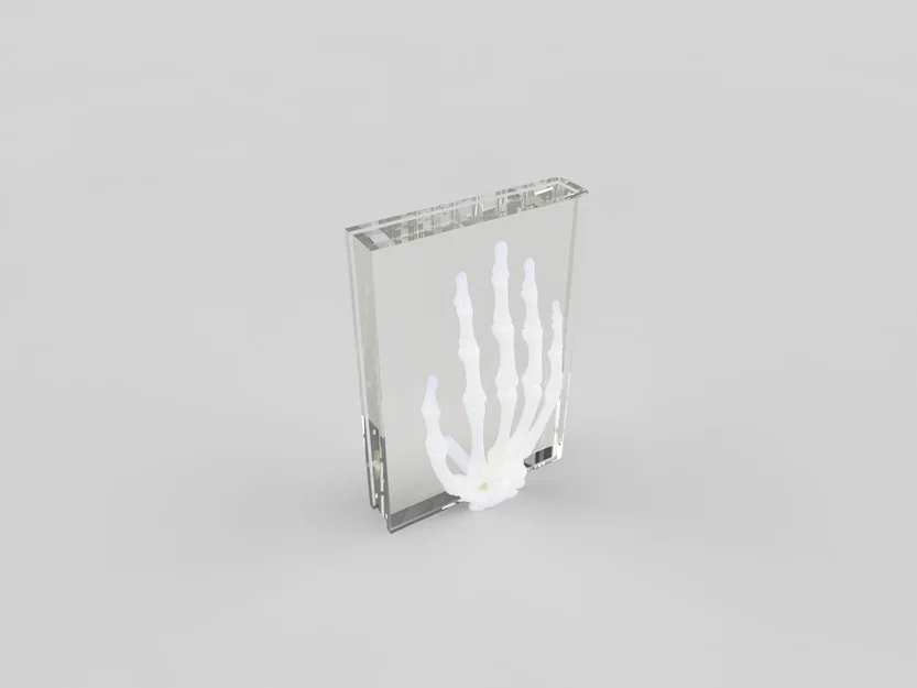 Chặn Sách Bàn Tay Bộ Xương (Skeleton Hand Bookend) - Image 2