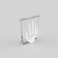 Chặn Sách Bàn Tay Bộ Xương (Skeleton Hand Bookend) - Thumbnail 2