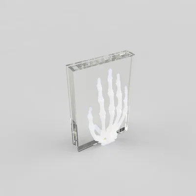 Chặn Sách Bàn Tay Bộ Xương (Skeleton Hand Bookend)