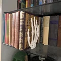 Chặn Sách Bàn Tay Bộ Xương (Skeleton Hand Bookend) - Thumbnail 3