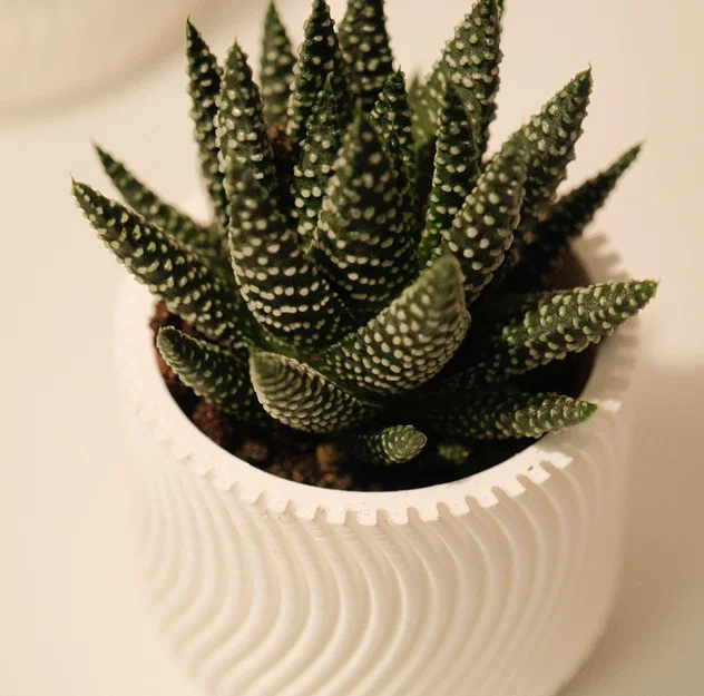 Chậu hoa WAVY (WAVY flowerpot) - Image 2