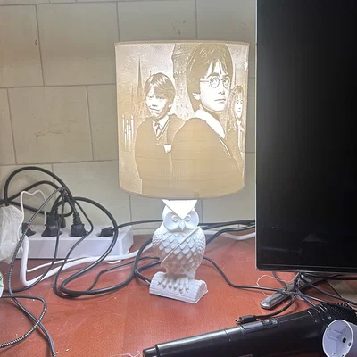 Mô hình đèn ngủ in 3D hình cú Hedwig chủ đề Harry Potter