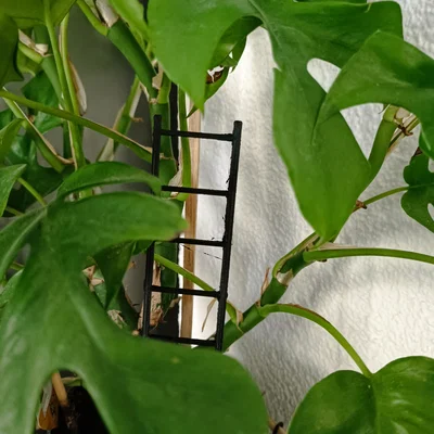 Mô hình thang mini in 3D: Phụ kiện trang trí và giàn leo cây xinh xắn