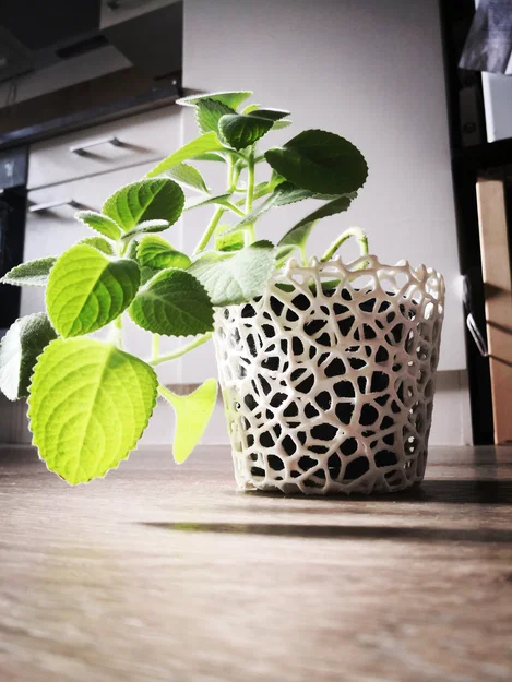 Chậu hoa Voronoi (3 kiểu) - Image 1