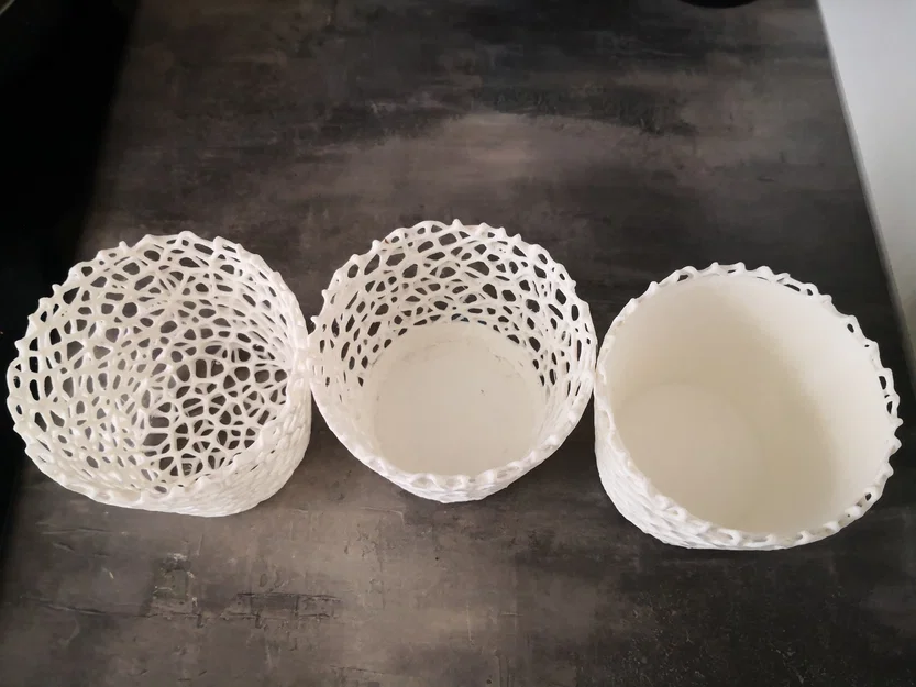 Chậu hoa Voronoi (3 kiểu) - Image 2