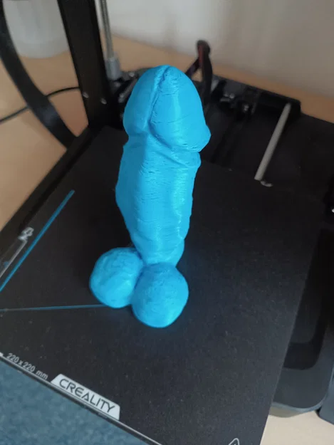Mô hình 3D bộ phận sinh dục nam chi tiết dùng trong điêu khắc - Image 1