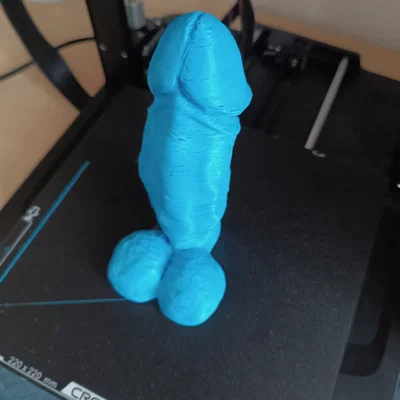 Mô hình 3D bộ phận sinh dục nam chi tiết dùng trong điêu khắc