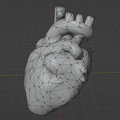 Mô hình trái tim giải phẫu Low poly (Solid) chất lượng cao cho in 3D
