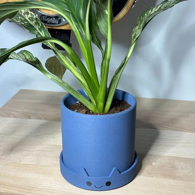 Chậu trồng cây hình mèo dễ thương có khay hứng nước in 3D