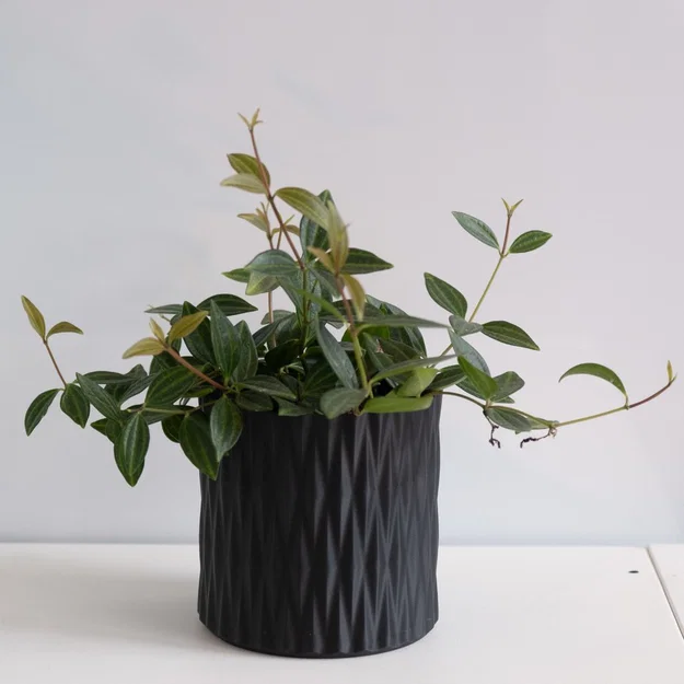 Chậu trồng cây vase mode LINES Crossed (Lines đan chéo) - Image 1