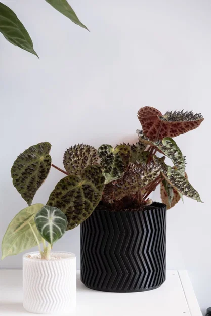 Chậu trồng cây ZigZag vase mode (ZigZag vase mode flowerpot planter) - Image 1